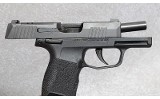 Sig Sauer P365 Pistol, .380 Auto, 3 1/8 Inch Barrel, 1 lb. - 3 of 6