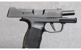 Sig Sauer P365 Pistol, 9mm Luger, 3 1/8 Inch Barrel, 1 1/4 lbs. - 5 of 6