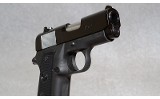 Para Ordnance P10.45 Pistol, .45 Auto, 3 Inch Barrel, 2 lbs. - 5 of 6