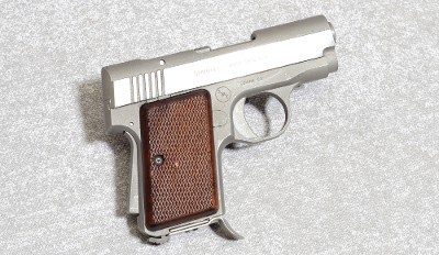 AMT Back Up Pistol, .380 Auto, 2.5 Inch Barrel, 1 lb.