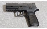 Sig Sauer P250 Pistol, .45 Auto, 3.9" Barrel, 1.75 lbs. - 2 of 6