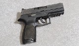 Sig Sauer P250 Pistol, .45 Auto, 3.9" Barrel, 1.75 lbs. - 1 of 6