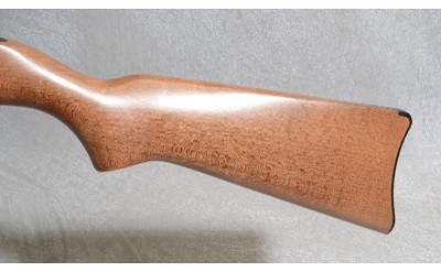Ruger 10/22 Rifle, .22 Long Rifle, 18.5" Barrel - Image 9 of 10