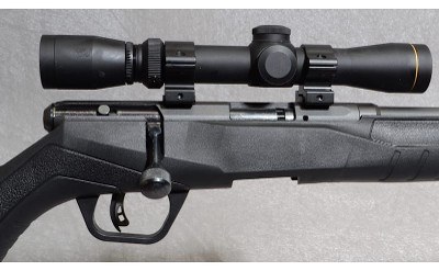 Savage Arms B17 Rifle, .17 HMR, 21" Barrel - Image 3 of 10