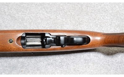 Ruger 10/22 Carbine Rifle, .22 Long Rifle, 18.5" Barrel - Image 7 of 10