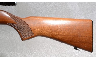 Ruger 10/22 Carbine Rifle, .22 Long Rifle, 18.5" Barrel - Image 9 of 10