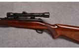 Winchester Model 70 in .30-06 - 4 of 7