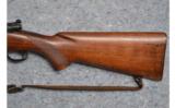 Winchester Model 70 in .257 Roberts (Pre-64) - 5 of 9
