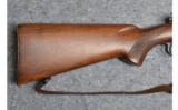 Winchester Model 70 in .257 Roberts (Pre-64) - 2 of 9
