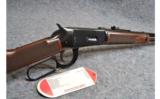 Winchester Big Bore Model 94 XTR in .375 Win - 3 of 9