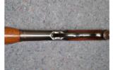 Winchester Model 71 in .348 WCF - 8 of 9