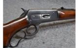 Winchester Model 71 in .348 WCF - 3 of 9