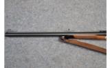 Blaser S2 .470 N.E. - 7 of 9