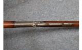 Winchester 1886 - .45-70 WCF - 9 of 9