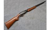 Remington Model 572 Pump .22 S,L,& LR - 1 of 9