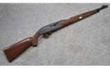Remington Mohawk 10C .22 LR - 1 of 9