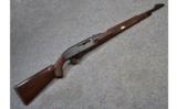 Remington Nylon 66 .22 LR - 1 of 9