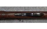 Remington Nylon 66 .22 LR - 9 of 9