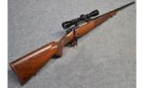 Winchester Model 70 .270 Win. - 9 of 9