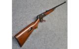Winchester Model 63 / .22 LR - 1 of 9