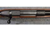 Weatherby Mark V .300 wby - 8 of 9