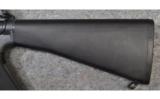 Colt ~ Sporter II ~ 5.56mm NATO - 9 of 9