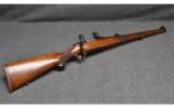 Ruger ~ M77 ~ .243 Win - 1 of 9