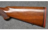 Ruger ~ M77 ~ .243 Win - 9 of 9