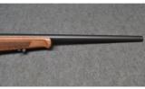 Steyr ~ Zephyr II ~ .22 WMR - 4 of 9
