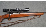 Sturm Ruger & Co ~ M77 ~ .243 Win - 4 of 12