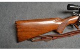 Winchester ~ Model 70 ~ .257 Roberts (Pre-War 1938) - 3 of 16