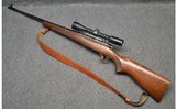 Winchester ~ Model 70 ~ .270 Winchester (1950) - 2 of 15