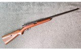 Winchester ~ 74 ~ .22 Short - 1 of 15