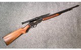 Savage ~ 29B ~ .22 S, L, LR - 1 of 14