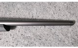 CZ ~ 600 AL2 Alpha ~ 6.5 PRC - 5 of 15