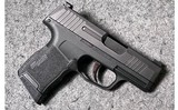 SIG Sauer ~ P365 ~ 9 MM - 1 of 8