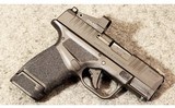 Springfield Armory ~ Hellcat ~ 9MM Luger - 1 of 8