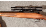 Winchester ~ Model 70 ~ .243 Winchester - 7 of 14