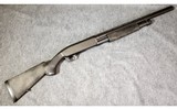 Browning ~ BPS ~ 10 Gauge - 1 of 13