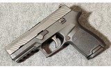 SIG Sauer ~ P320 Compact ~ 9mm Luger - 2 of 8