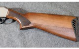 Pointer ~ FT3 ~ 12 gauge - 6 of 13