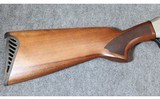 Pointer ~ FT3 ~ 12 gauge - 3 of 13