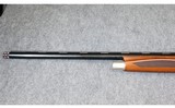 Pointer ~ FT3 ~ 12 gauge - 8 of 13