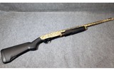 Browning ~ BPS ~ 12 Gauge - 1 of 11