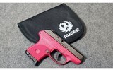 Ruger ~ LCP ~ 380 ACP