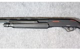 Winchester ~ SXP ~ 12 Gauge - 7 of 13