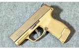 Sig Sauer ~ P365 ~ 9mm Luger - 2 of 7