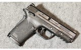 Smith & Wesson ~ M&P 9 Shield EZ ~ 9mm Luger - 1 of 7