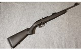 Mossberg ~ 702 Plinkster ~ .22 long rifle - 1 of 3