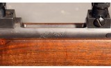 Kimber ~ 84M ~ .243 Winchester - 12 of 12